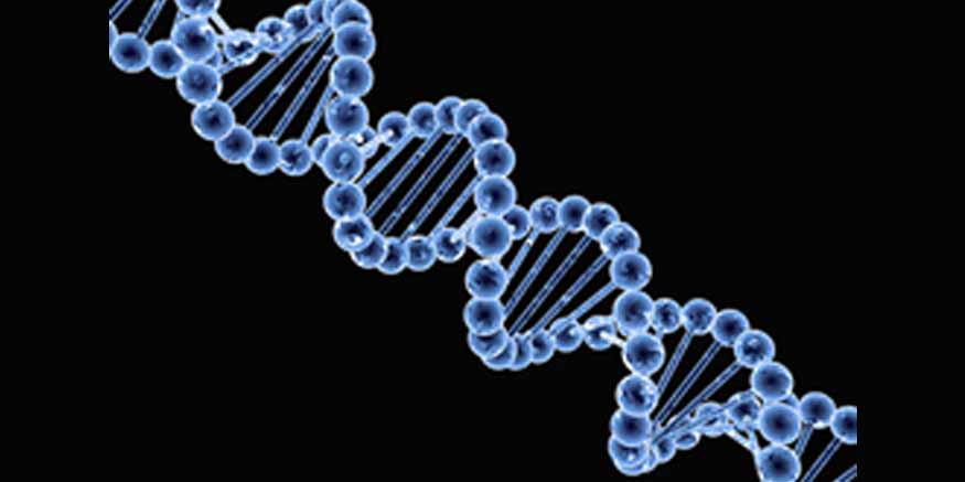 What Is DNA Understanding the Blueprint of Life