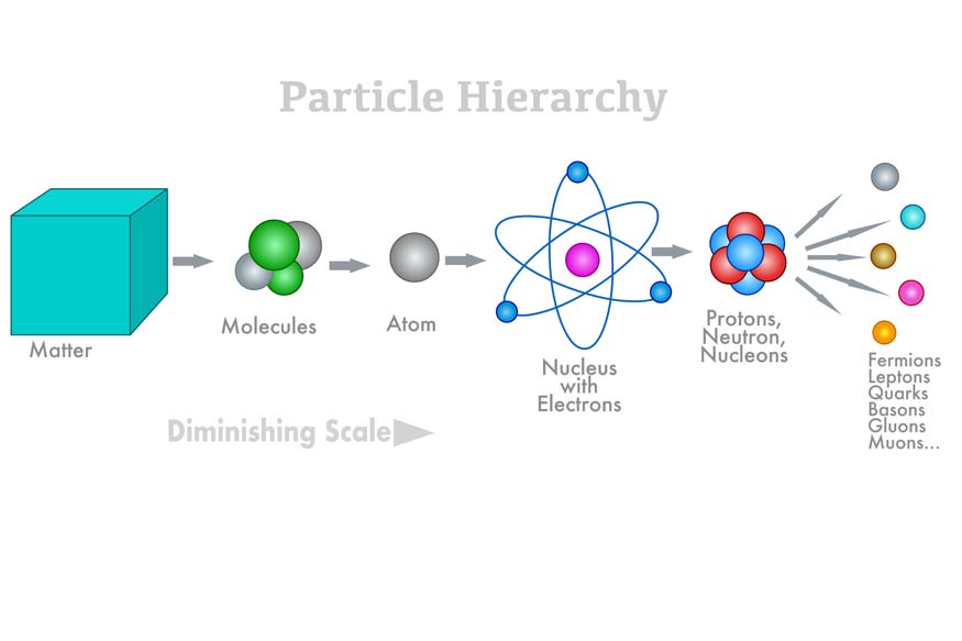 Learn about the fundamental building blocks of matter