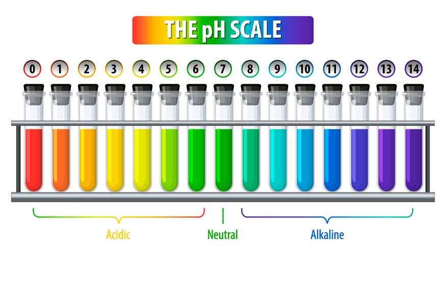 What Are Acids, Bases, and Salts?