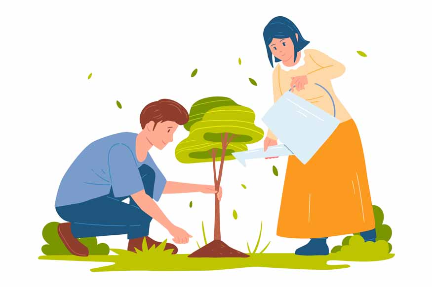 Why Trees Are Important for Our Environment and Life